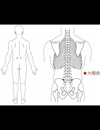 大腸兪